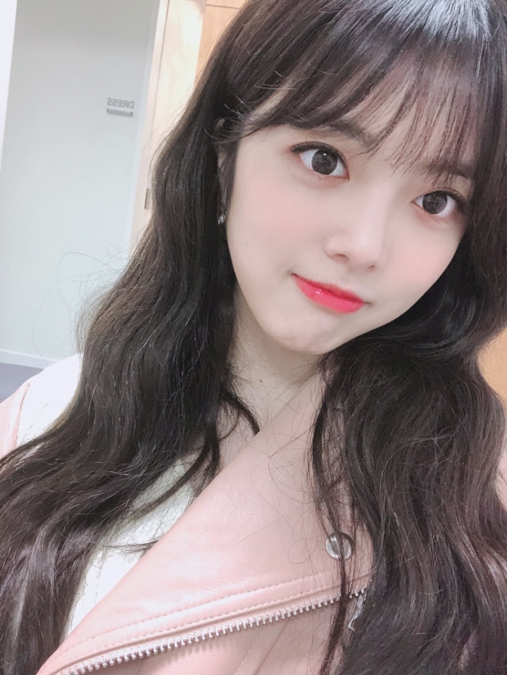 수연 이미지