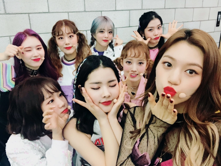 위미 이미지