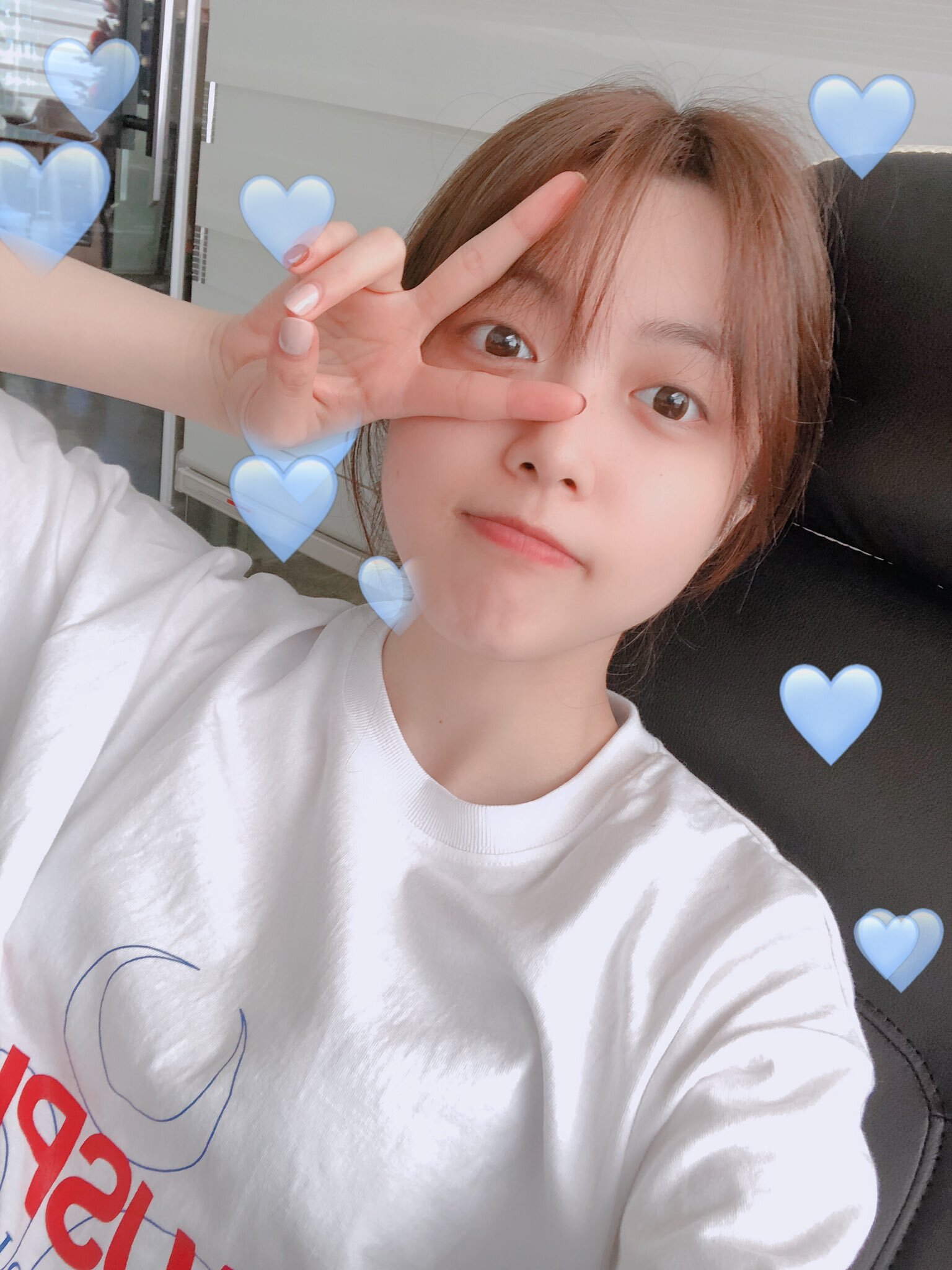 수연 이미지