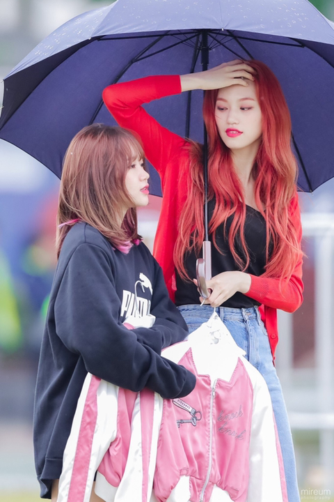 다도연 이미지