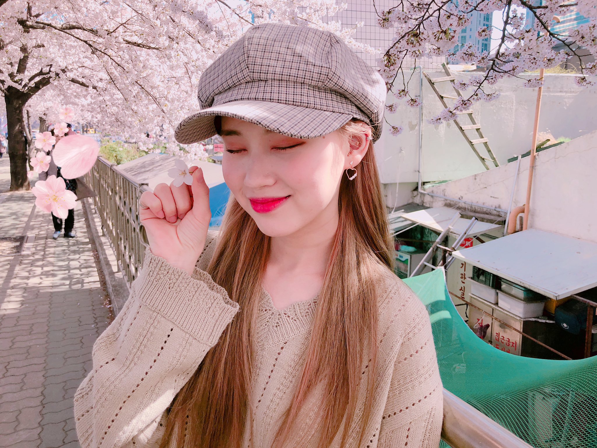 해림 이미지