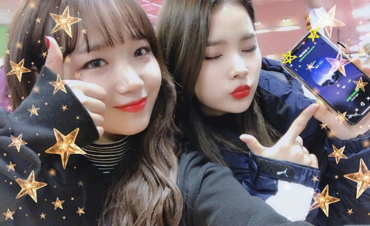 위미 이미지
