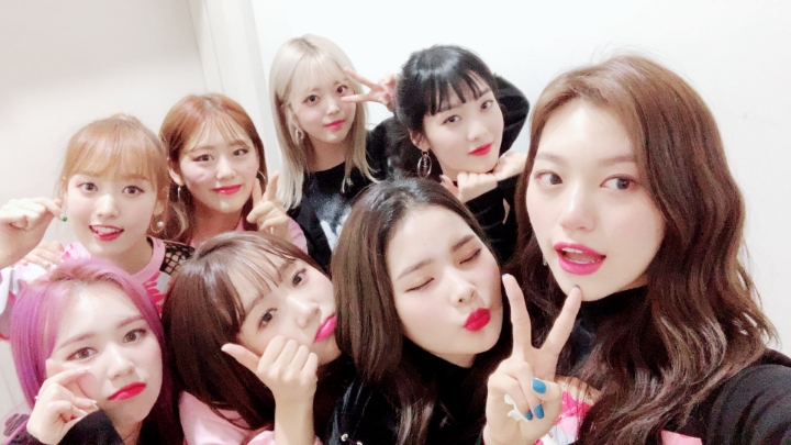 위미 이미지