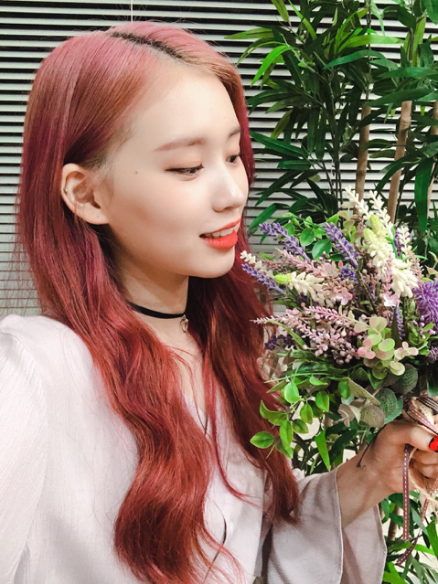 시랑 이미지