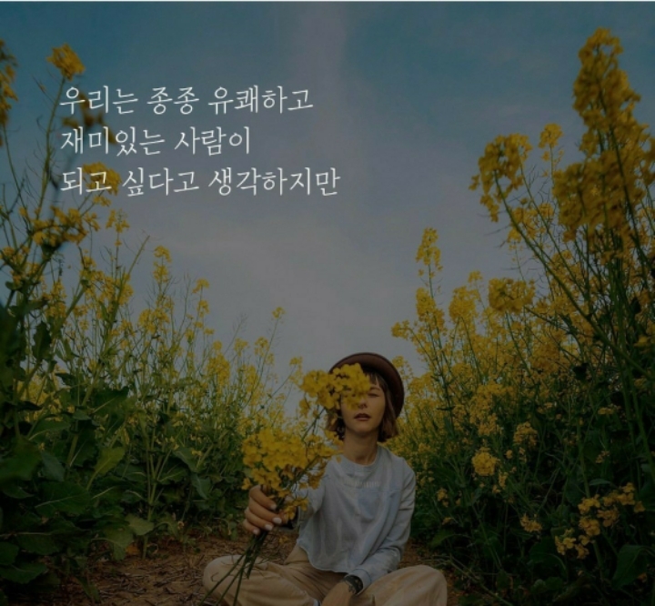 다울 이미지
