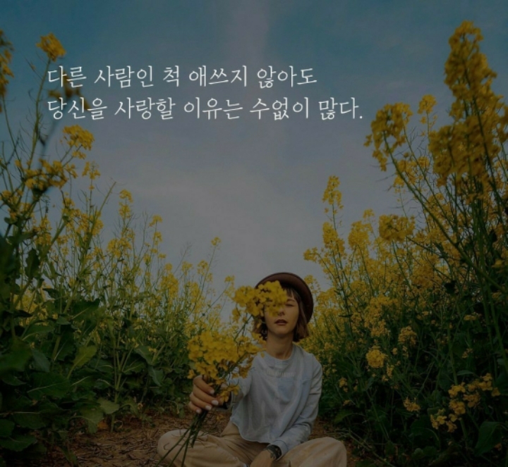 다울 이미지