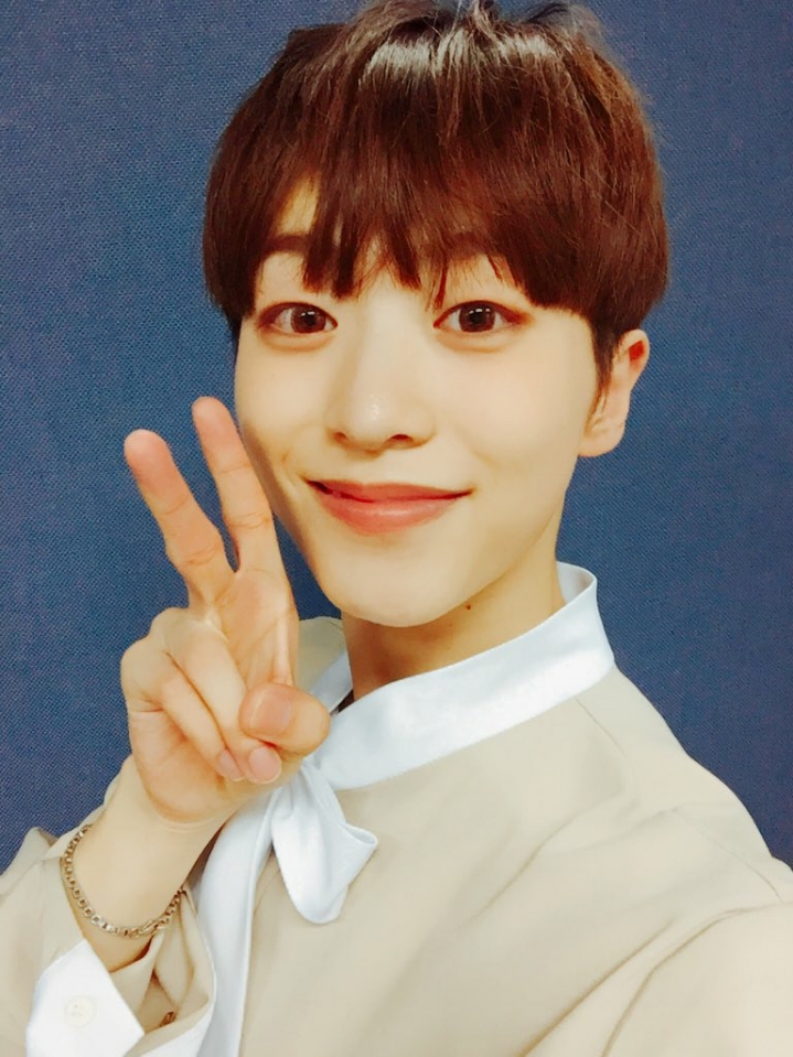 라운 이미지
