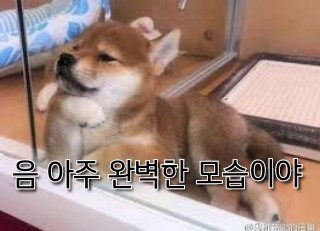 온투어 이미지