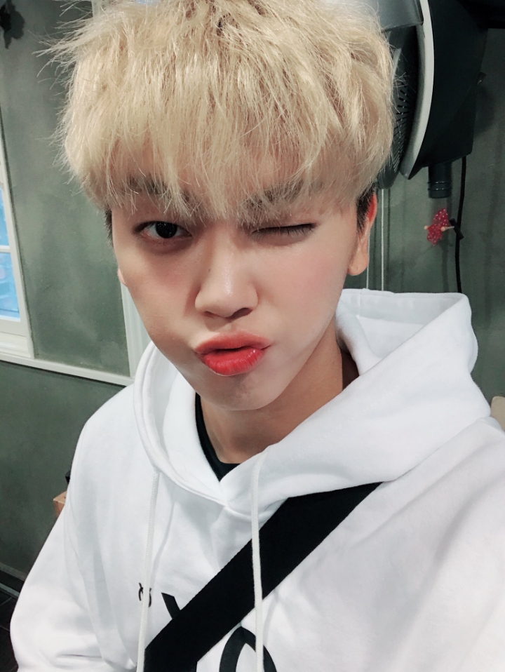 달보드레한 이미지