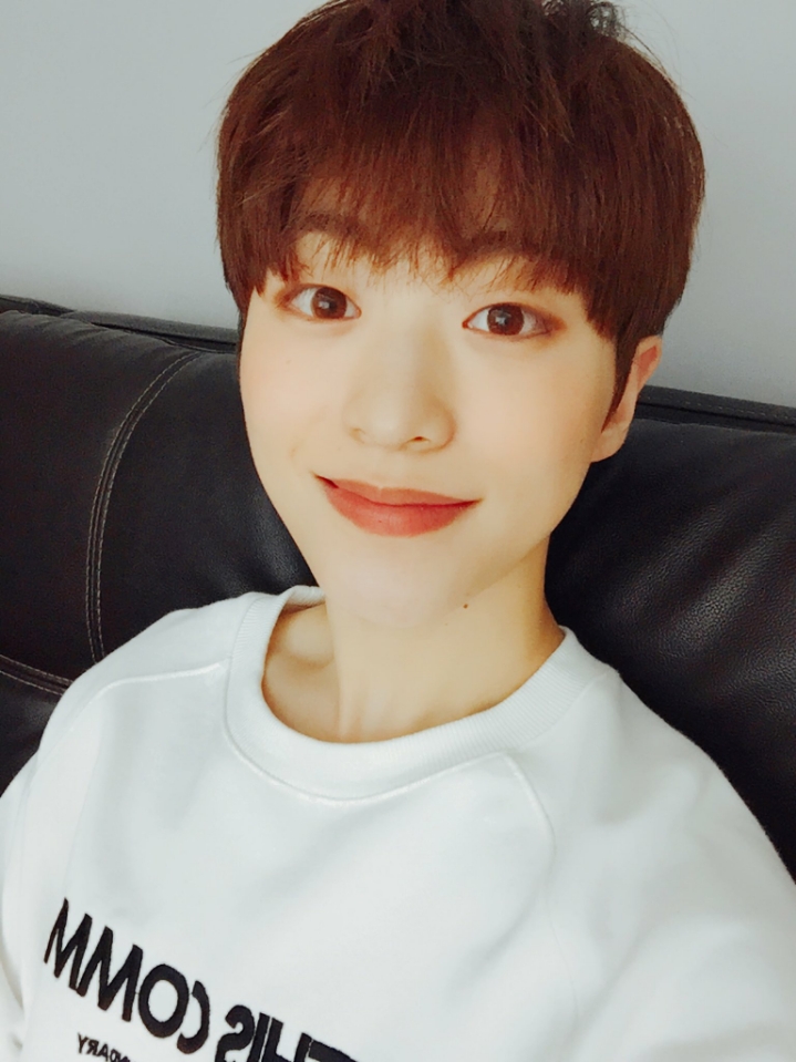 라운 이미지