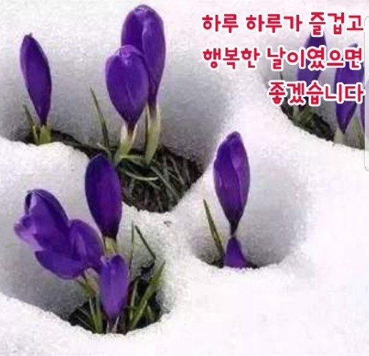 행복한 아침 이미지