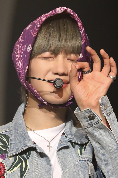 토디 이미지