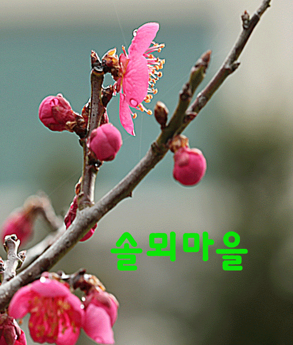카페 프로필 이미지