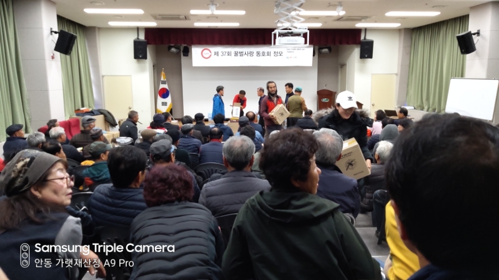 꿀벌사랑 이미지