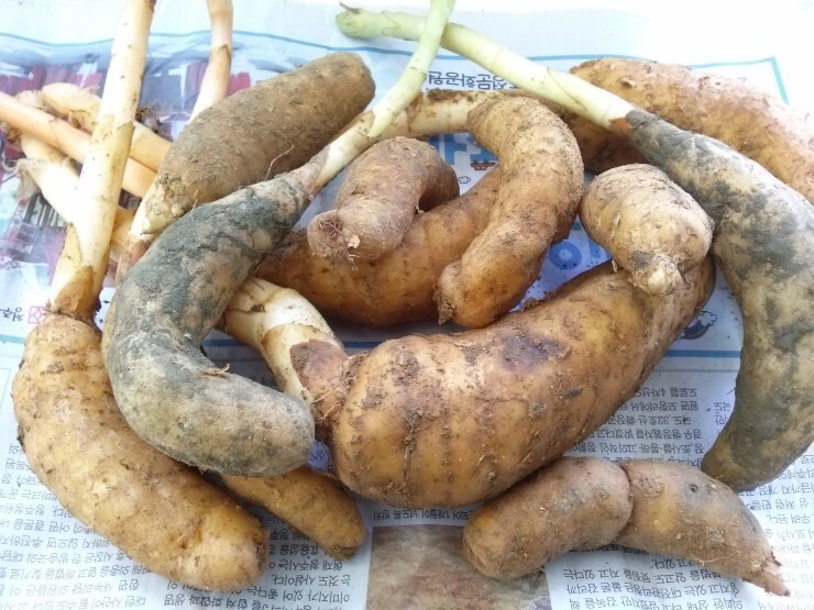 천마통신 이미지