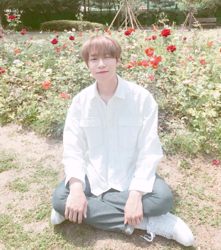 희날 이미지