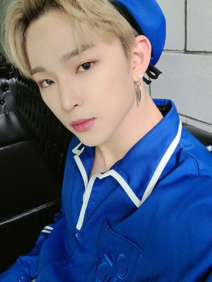 라니 이미지
