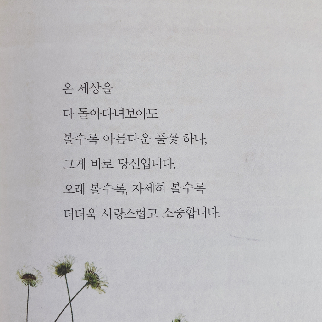 (주)예쁜오늘 이미지