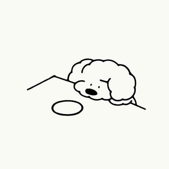 차니차니 이미지