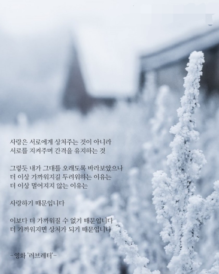 세윤 이미지