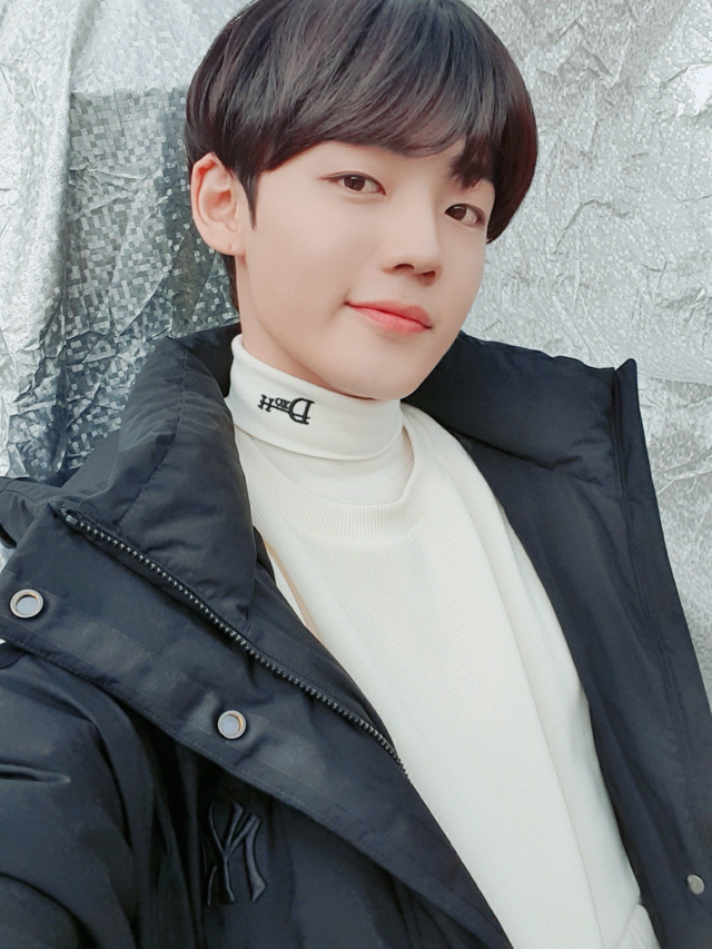 붐붐 이미지