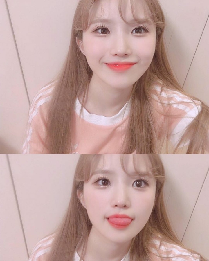 하냥 이미지