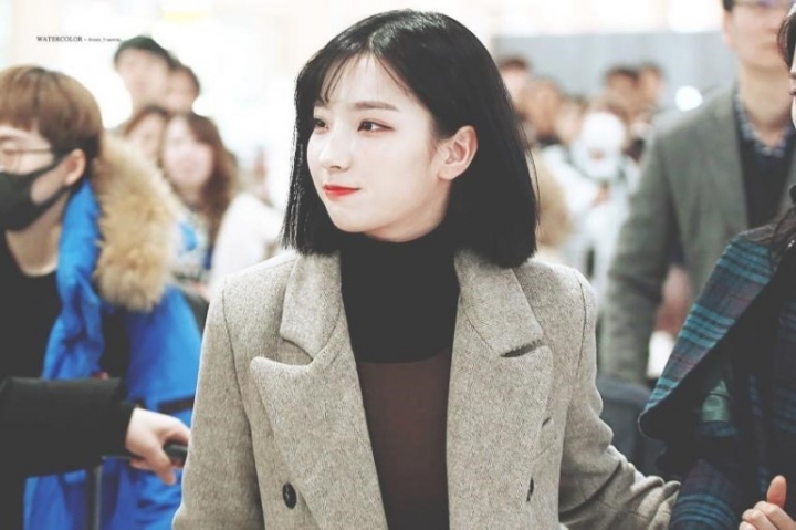 새롬 이미지