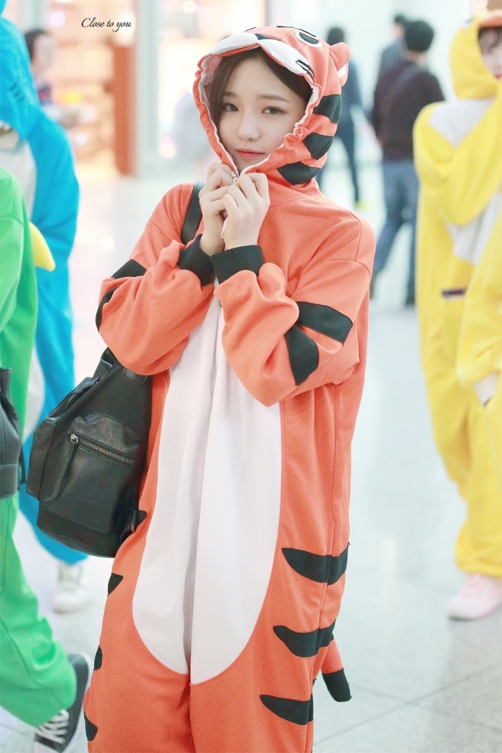 지센 이미지