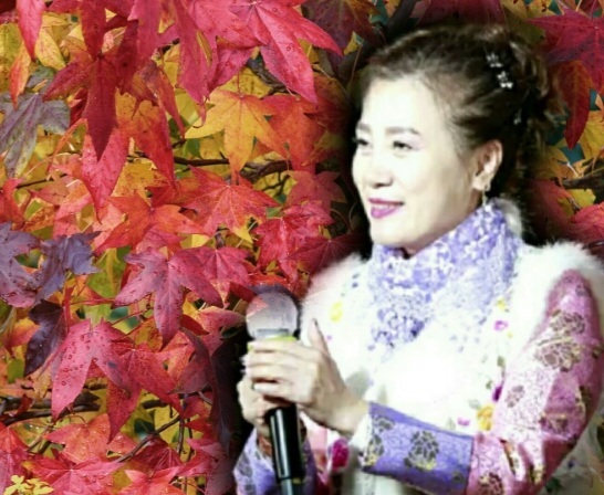 금란꽃 이미지