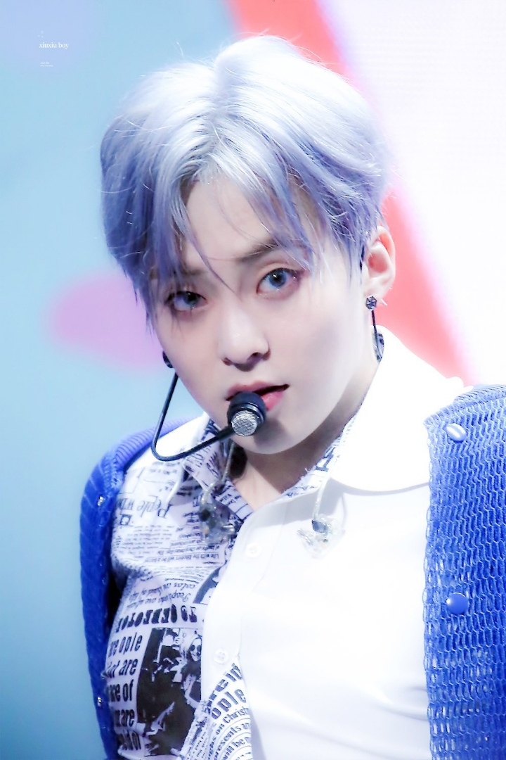 터트 이미지
