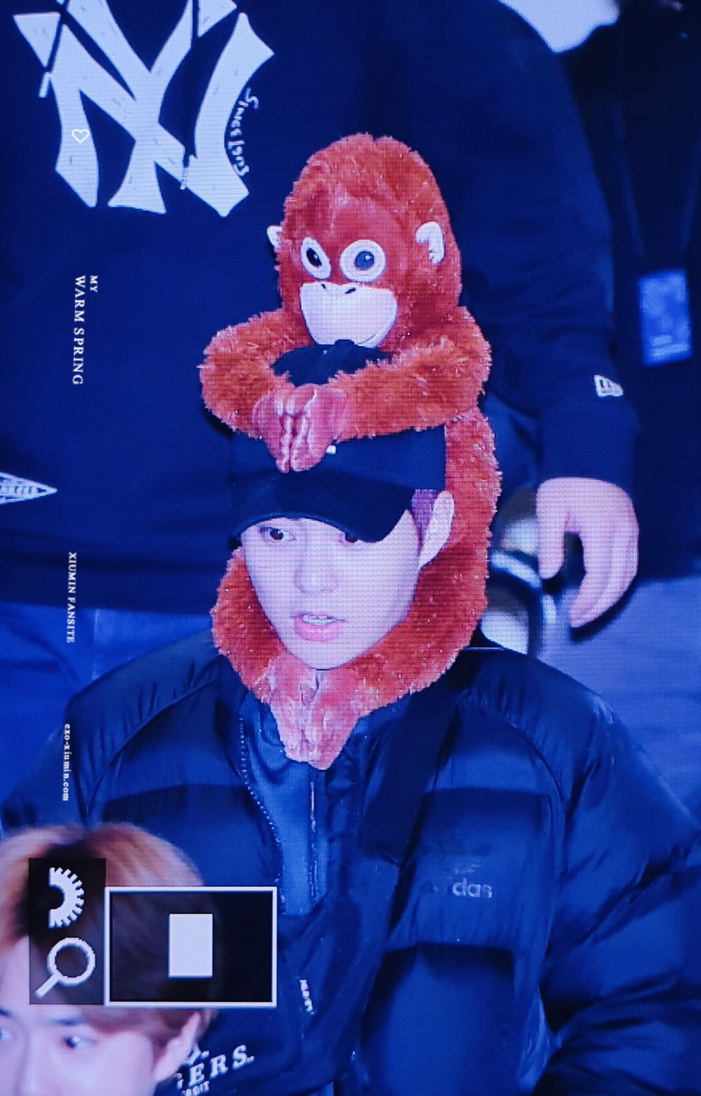 슈슈 이미지