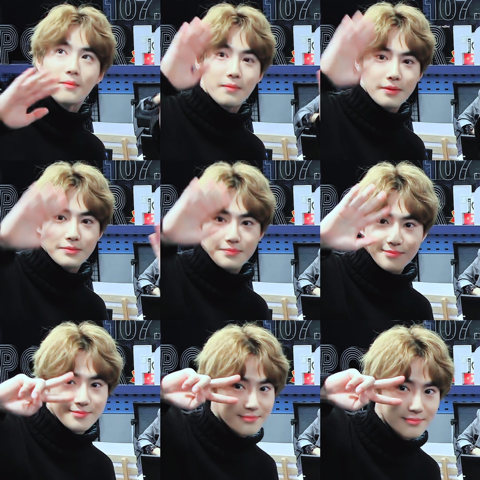 파마 이미지