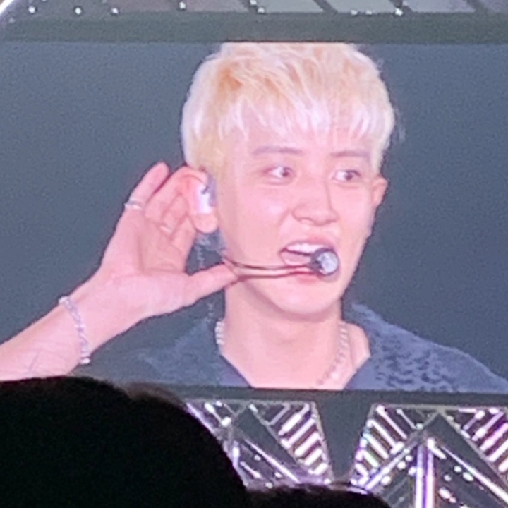 미쵸미쵸 이미지