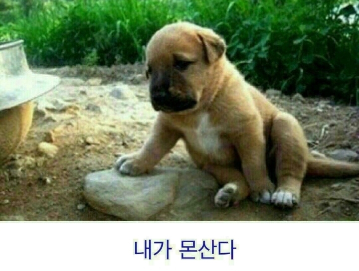 참 이미지