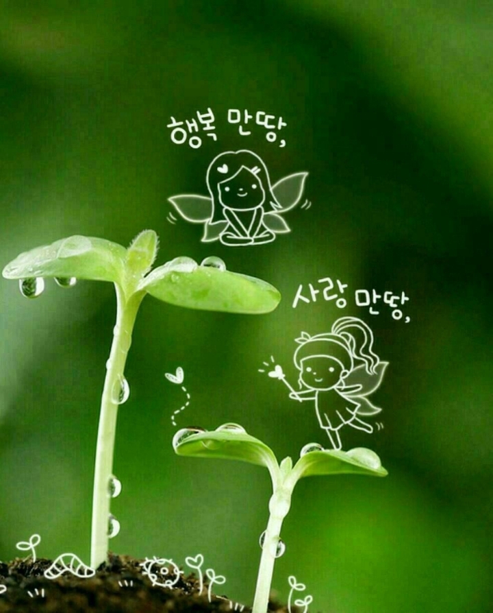 산사랑 이미지