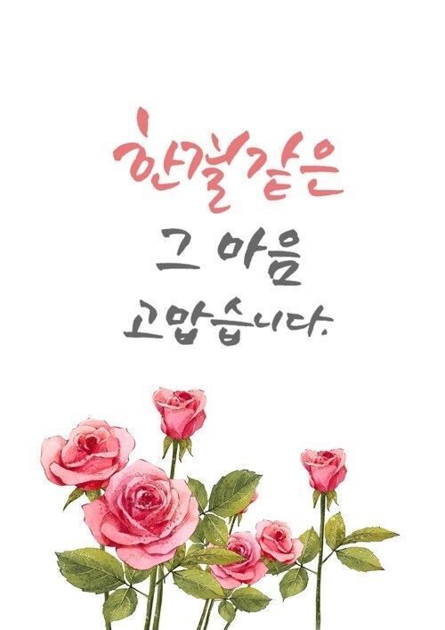 언제나 빵긋 이미지