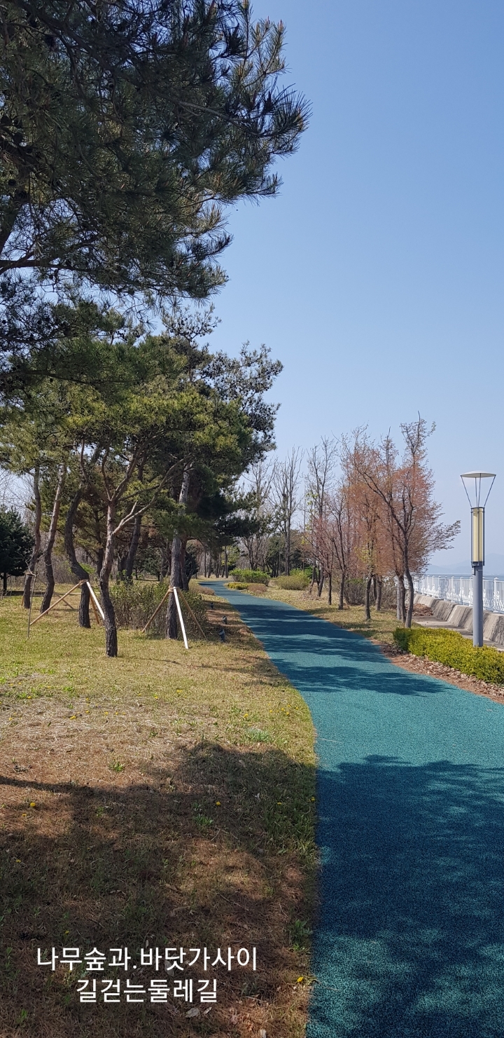 연이한이 이미지