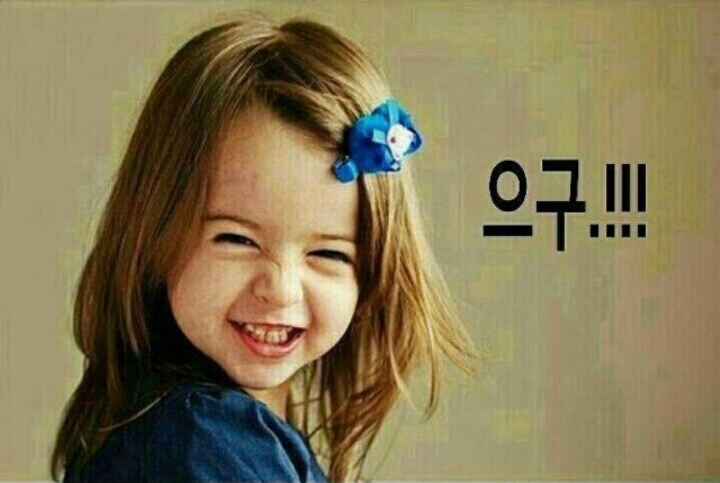 다봐 이미지