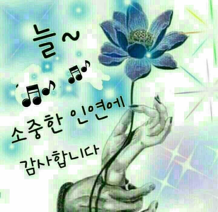 그리우면 이미지