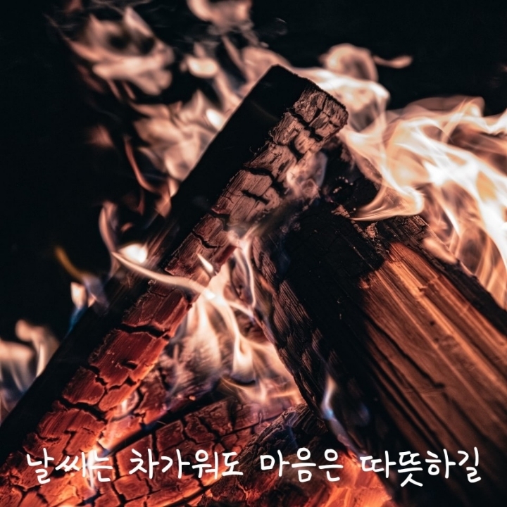 비비다방 이미지
