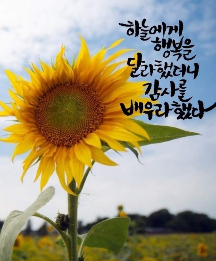 좋은인연 이미지