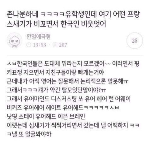 존나분하네ㅋㅋㅋㅋ유학생인데 여기 어떤 프랑스새기가 비꼬면서 한국인 비웃었어 | 인스티즈