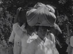 1960년대 대한민국 국민들의 생활 모습.gif | 인스티즈