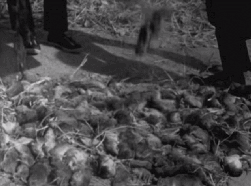 1960년대 대한민국 국민들의 생활 모습.gif | 인스티즈
