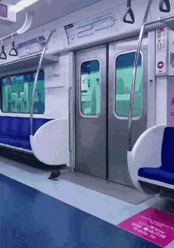 지하철을 한두번 타본게 아닌 것 같은 비둘기.gif | 인스티즈