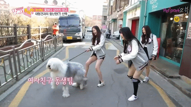 개한테 산책 당하는 여자친구.gif | 인스티즈