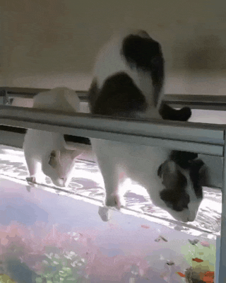 이 집 국물맛 쥑이네~.gif | 인스티즈