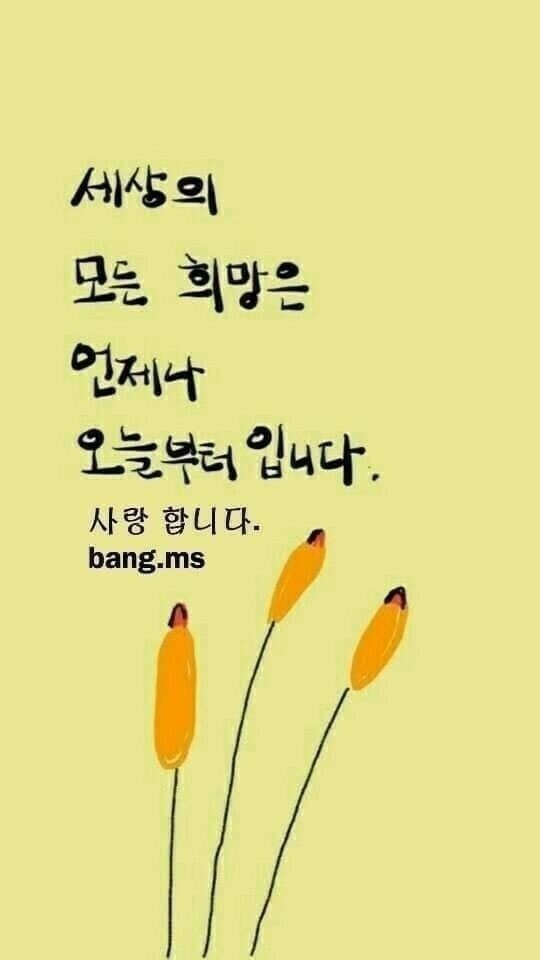 썬샤인 이미지