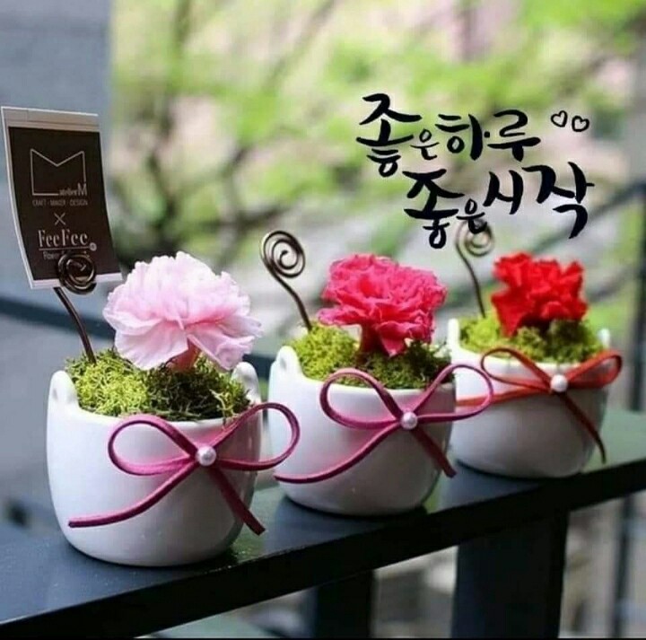 카페울돌 이미지