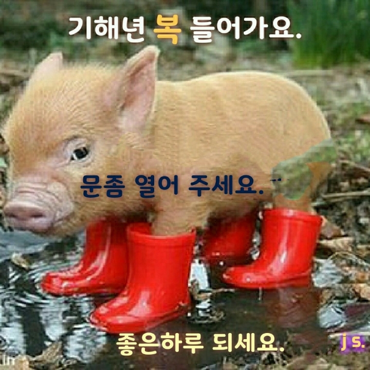 공감 이미지